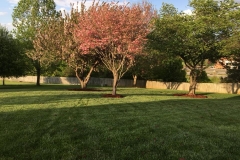 lawn maintenance Roanoke