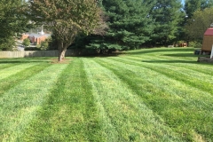 lawn maintenance Roanoke