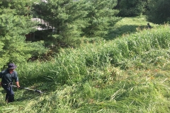 lawn maintenance Roanoke