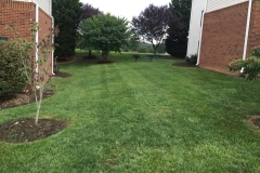 lawn maintenance Roanoke