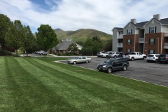 lawn maintenance Roanoke